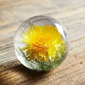 Resin Paperweight, Yellow Helichrysum